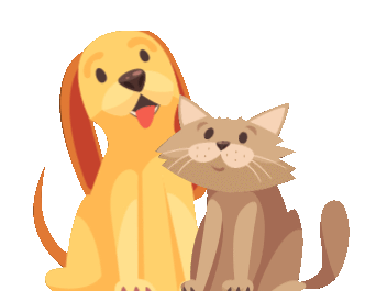 gifmaker me